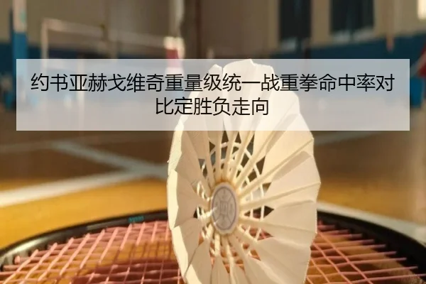 约书亚赫戈维奇重量级统一战重拳命中率对比定胜负走向
