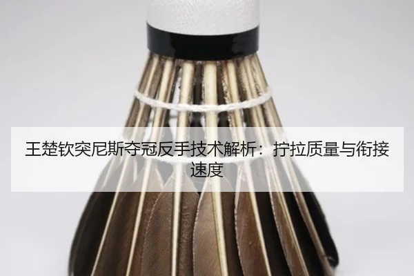 王楚钦突尼斯夺冠反手技术解析：拧拉质量与衔接速度